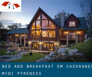 Bed and Breakfast em Cassagnes (Midi-Pyrénées)
